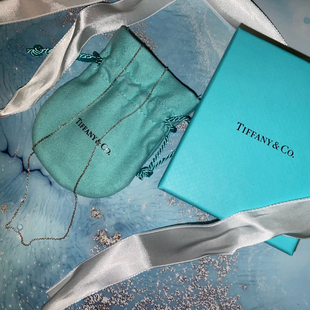 Tiffany & Co. Chain in Silver
